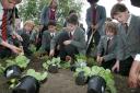 Good gardening: Pupils from two Twickenham schools got involved