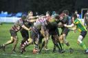 Solid: The Rosslyn Park pack on the drive during the 28-6 win over Henley Hawks on Saturday              All pictures: David Whittam