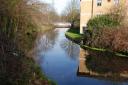 Ornamental: The river Wandle could be in line for a makeover under Mayor's plans