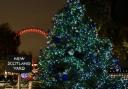 Christmas tree lights outside New Scotland Yard.
