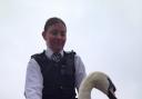 Injured: the swan was tended to by Sgt Tyler from Richmond Safer Transport team member Sgt Tyler