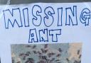 Have you seen my ant? Missing poster says ant last seen carrying large leaf