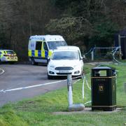 The 28-year-old woman was walking the animals along Gravelly Hill on the North Downs in Surrey on January 12 when she was repeatedly bitten