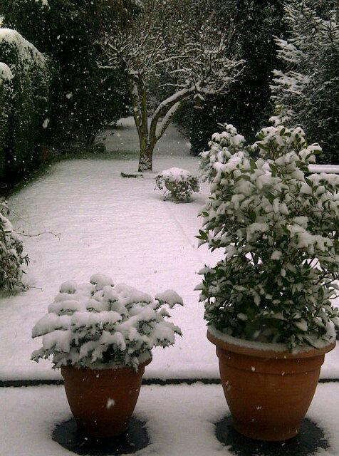 Snow in Walton upon Thames: By Councillor Christine Elmer