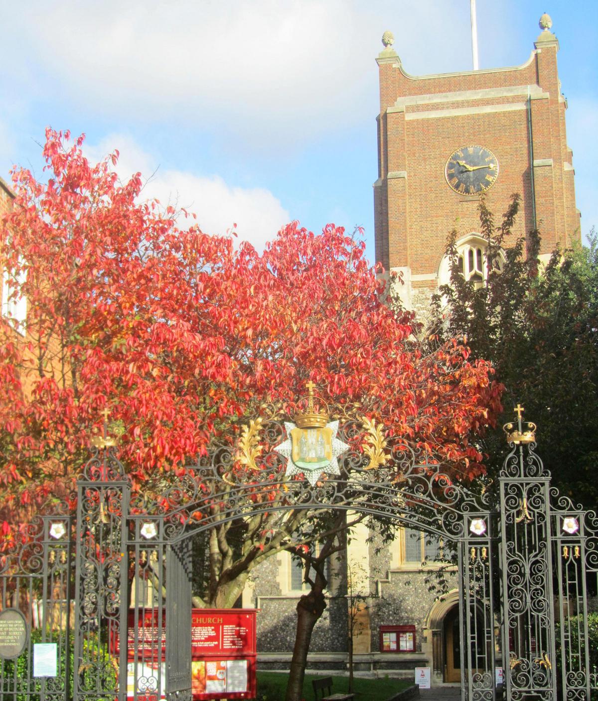 Kate Flavell's husband Paul took this photo of autumnal leaves outside All Saints Church in Kingston last month.