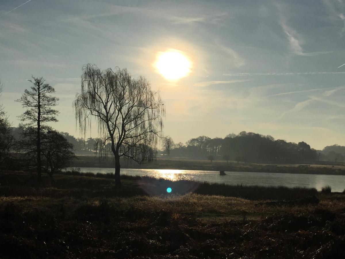 Jac Shine sent in this photo of Pen Ponds in Richmond Park.