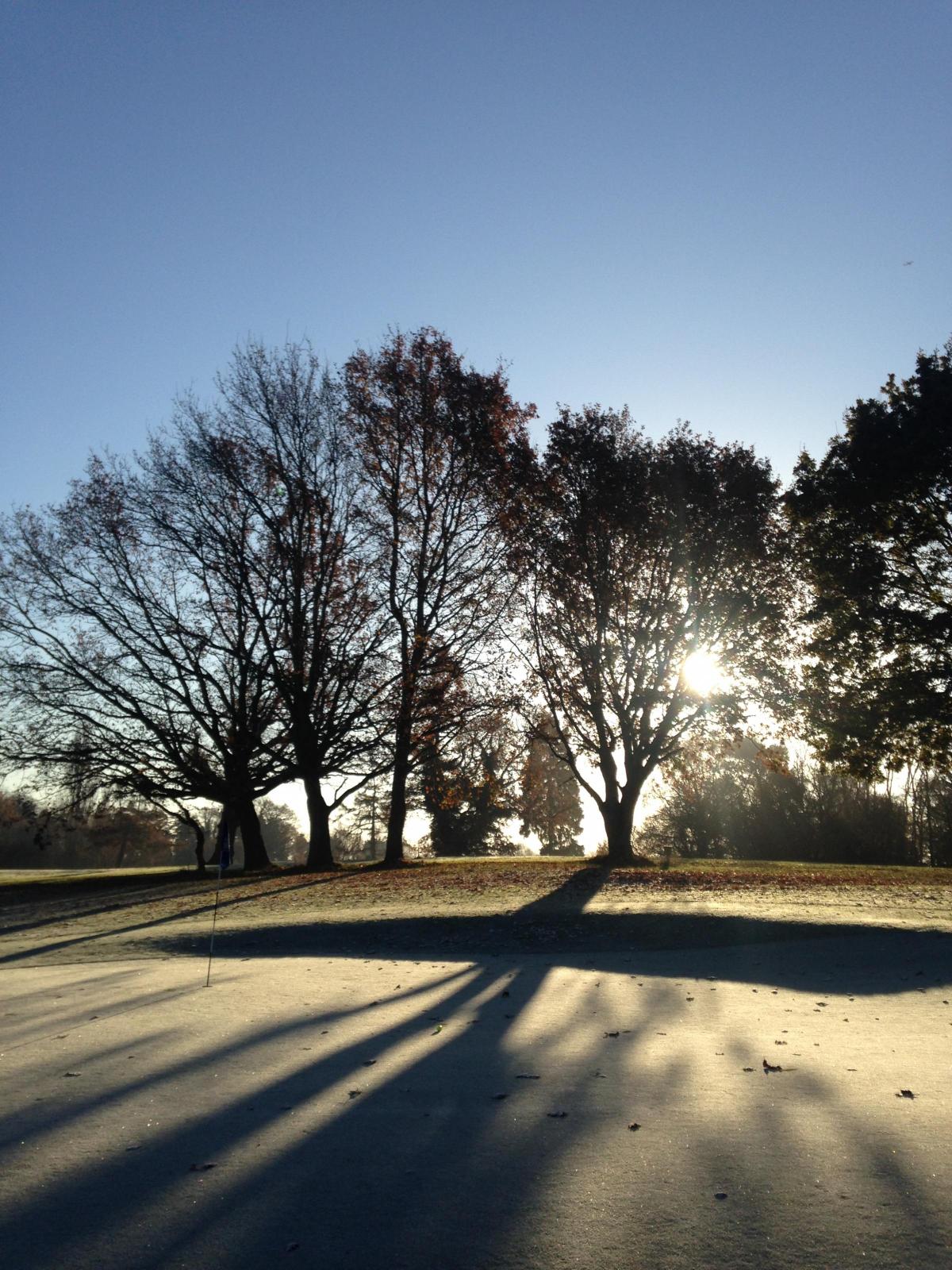 Adam Petitt took this photo of sunshine beaming through some woods during a game of golf. He said: "It was such a glorious morning and it really made me appreciate the beautiful surrounding we all have living in Surrey."