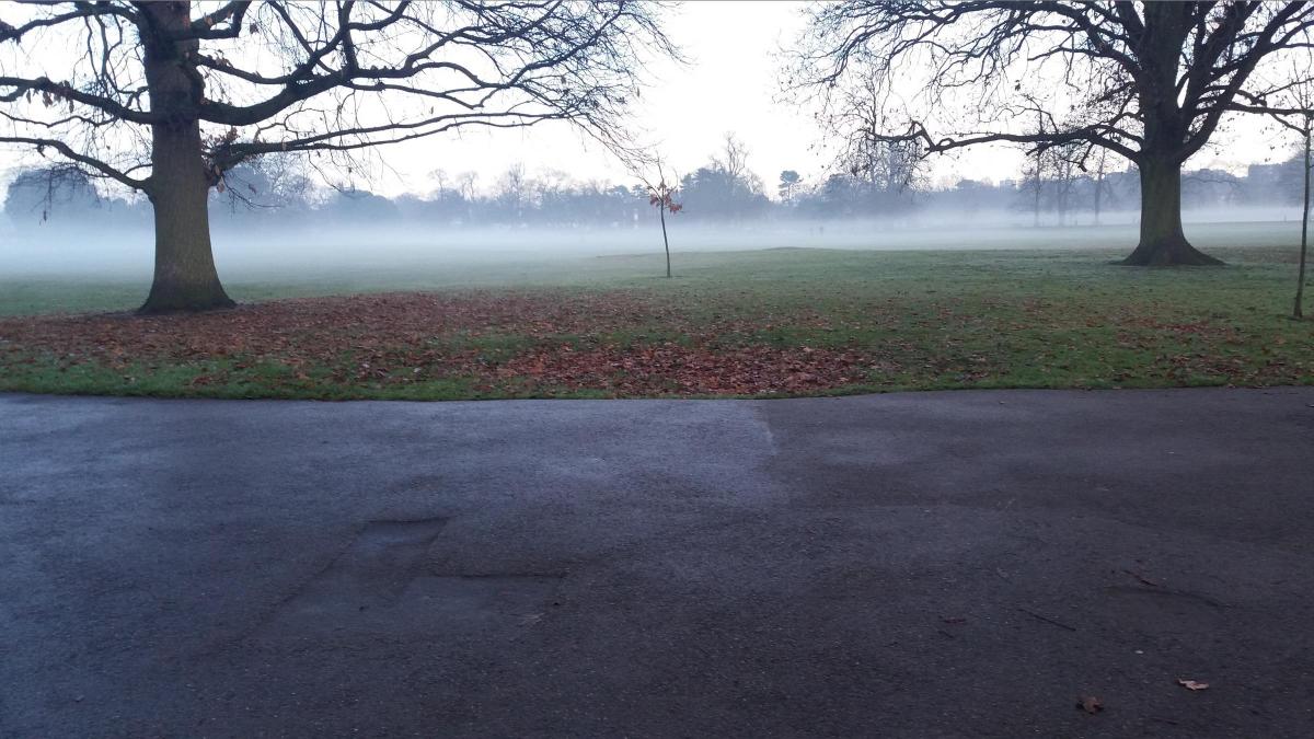 Gill Hagger sent in this picture of a misty Marble Hill Park in Twickenham.