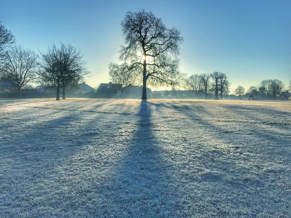 Steve Aparicio sent in this stunning photo of Murray Park in Whitton that was taken during a frosty dog walk.