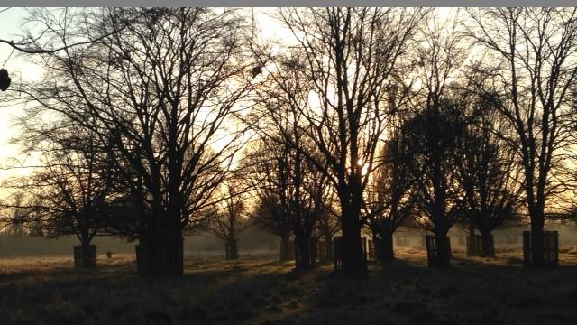 Richard Curtis sent in this photo of a wintery Bushy Park.