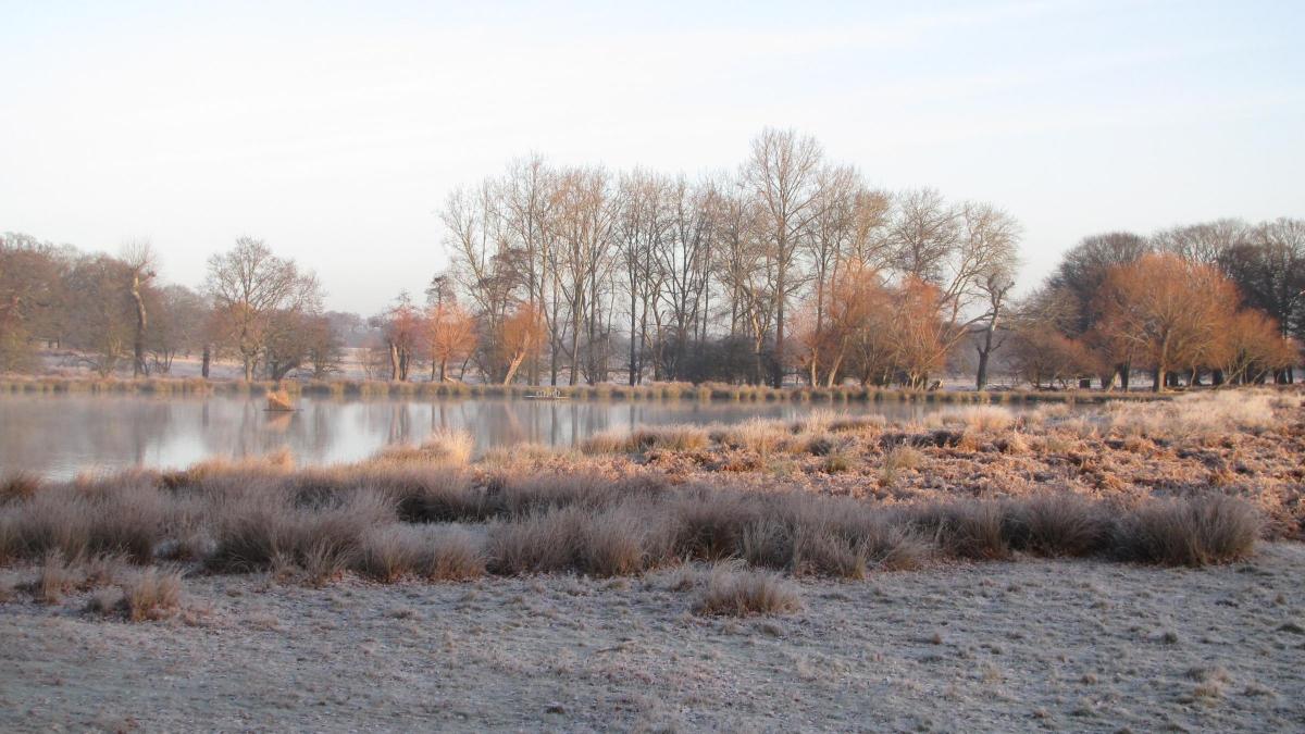 Bob Cowie sent in this photo of the Pen Ponds in Richmond Park on a frosty morning.