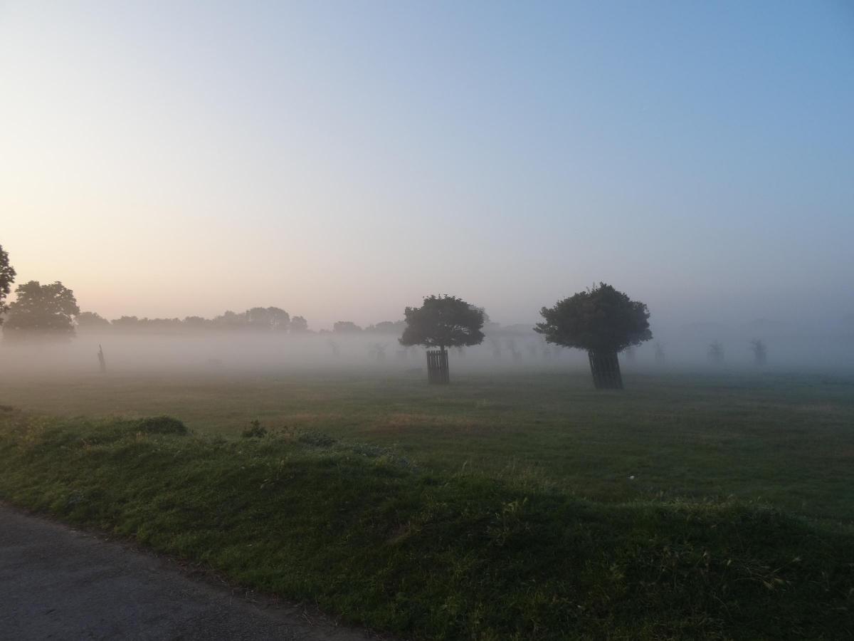 Mary Biver took this photo of a misty Bushy Park.
