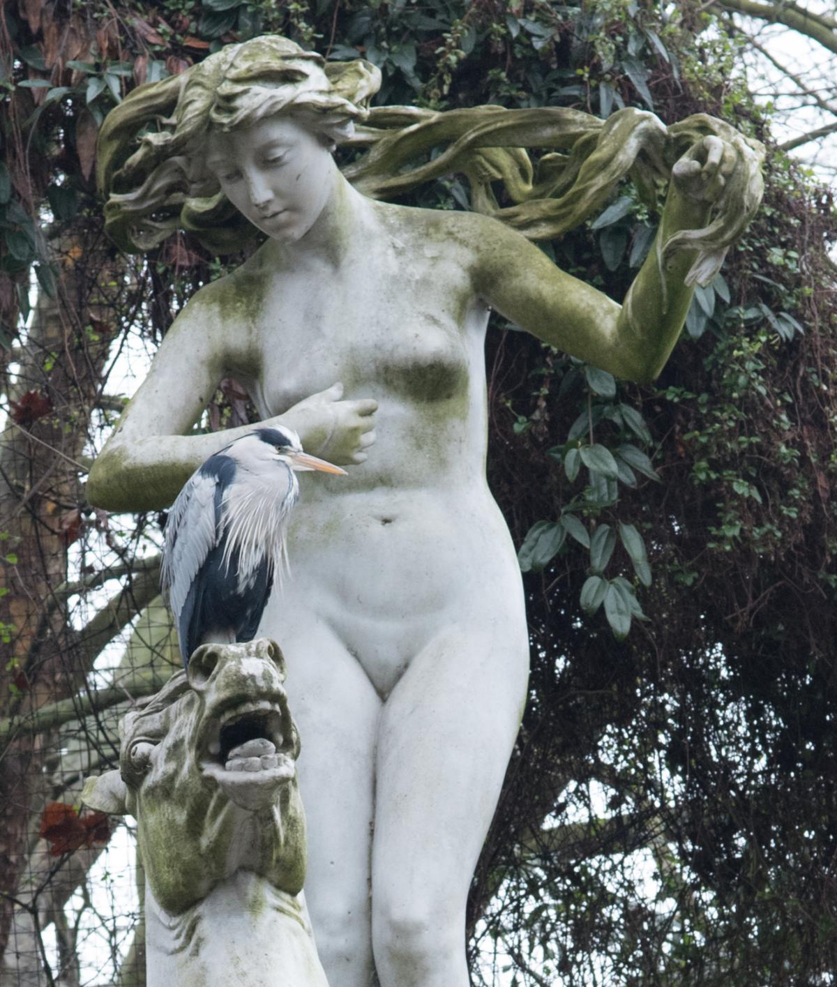 Alan Fuller took this photo of a heron playing statues