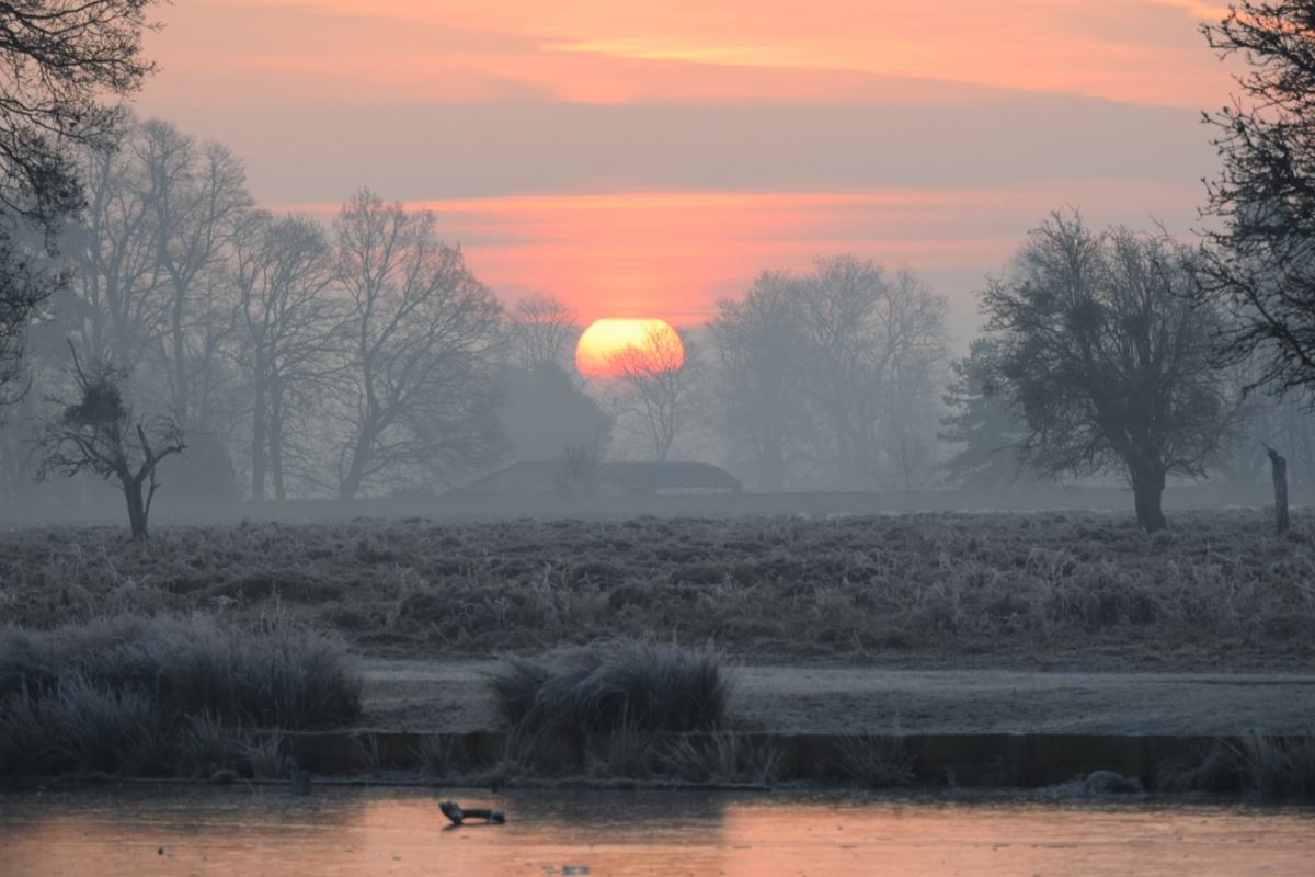 George Foster sent in this photo from a Sunday morning in Bushy Park.