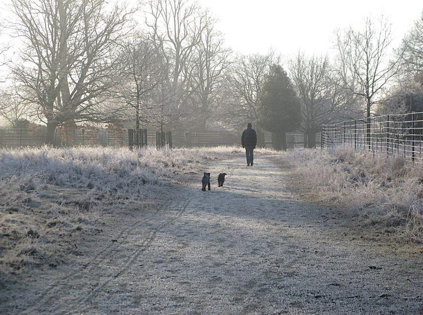 Jenny Bourne sent in this sweet photo out on a frosty walk with her two little dogs in Bushy Park.