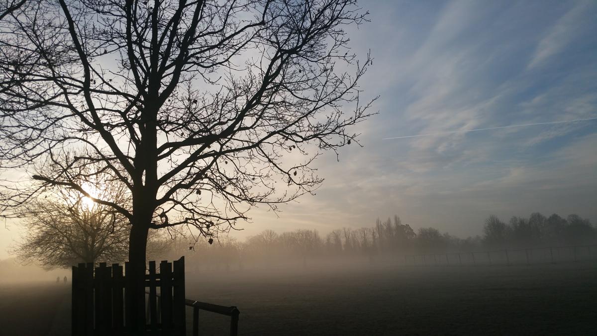 One reader sent in this photo of a frosty morning in Bushy Park at the beginning of February
