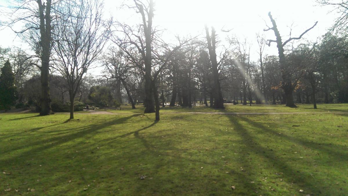 Sam Brittain sent in this photo of Bushy Park on February 17
