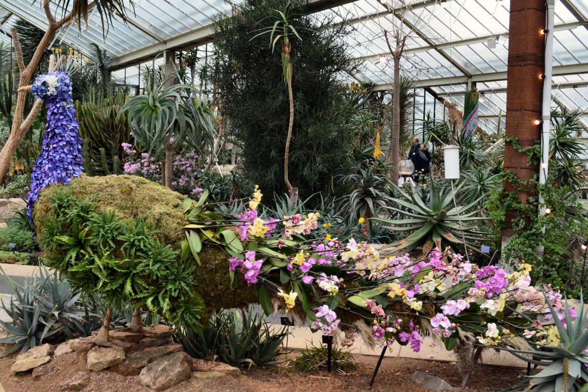 Andy Scott sent in this photo of the Kew Orchid Festival