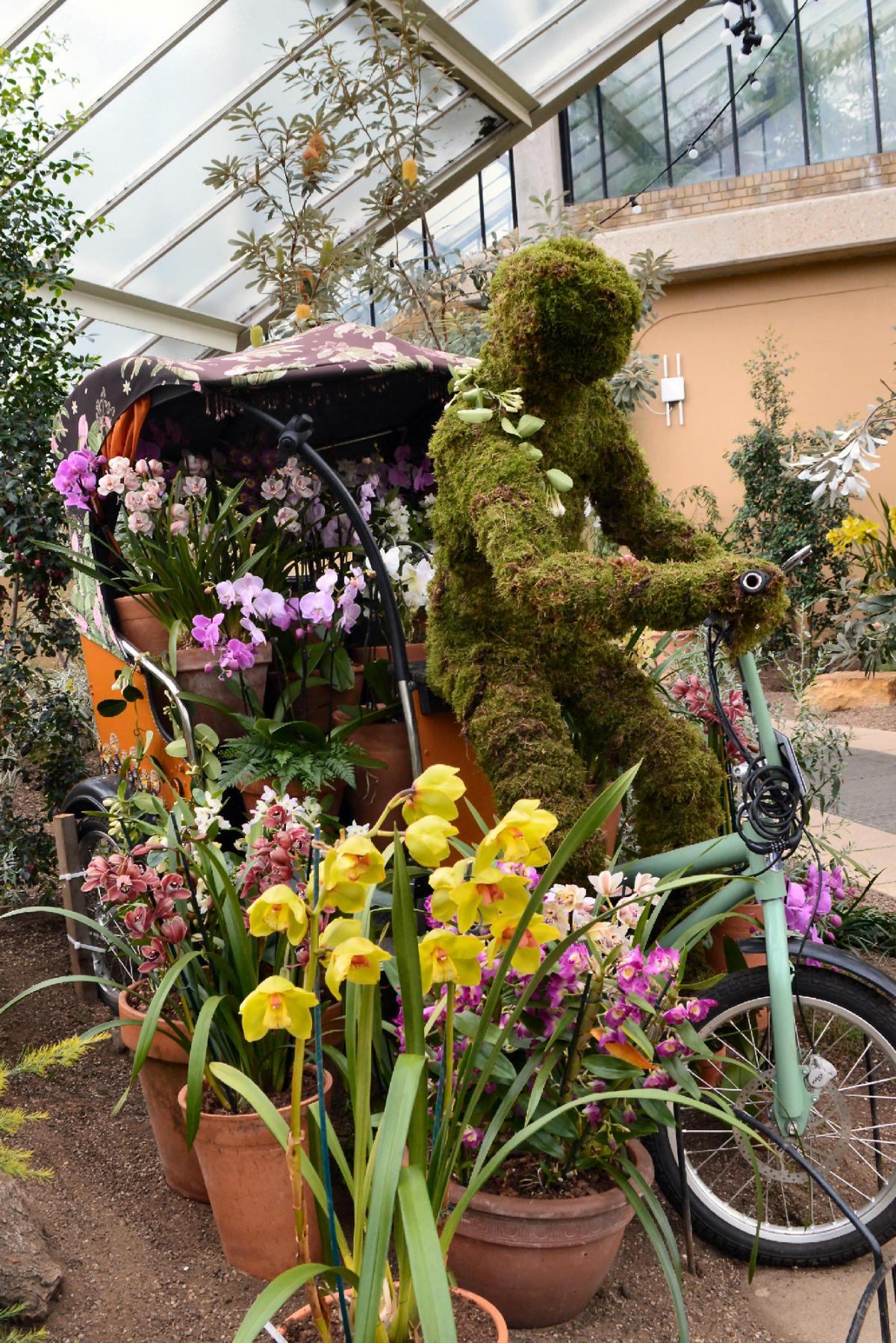 Andy Scott sent in this photo of the Kew Orchid Festival