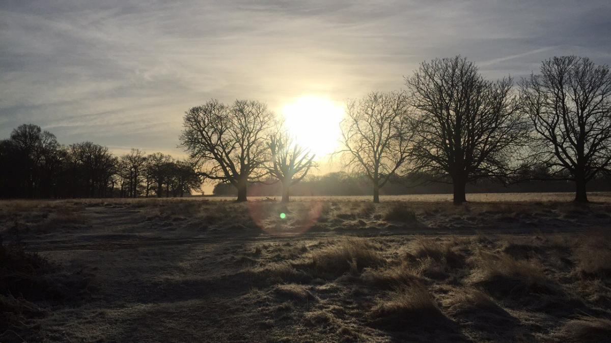Lily Smith took this photo in Richmond Park - one of her "favourite" places - on a cold frosty morning.