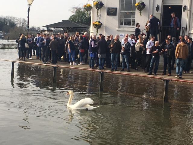 John Miller sent in this photo of rugby fans in Twickenham getting their toes wet - along with a lone swan