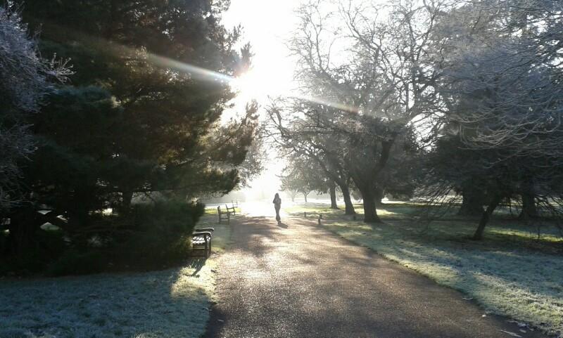 Peter London sent in this photo of a frosty morning in Hampton Court Gardens