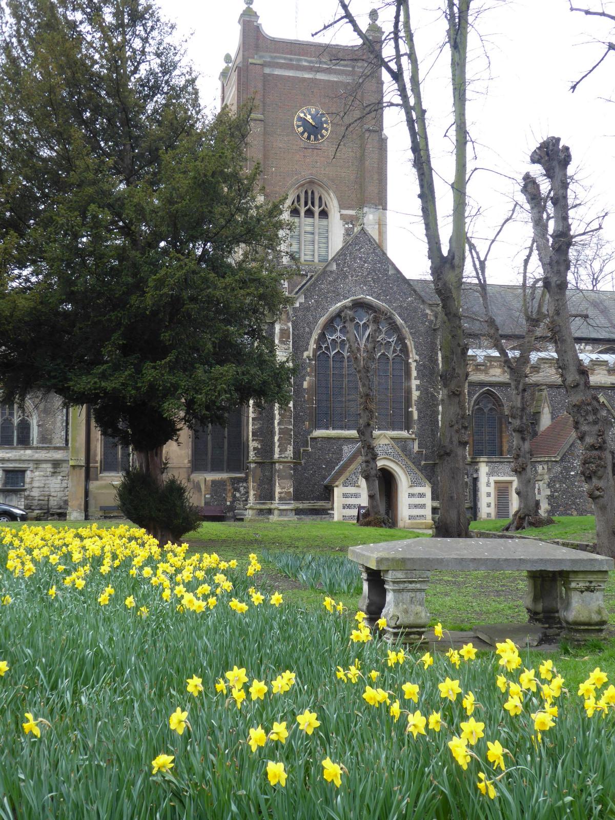 Verna Evans sent in this photo of the daffodils outside All Saints Church in Kingston