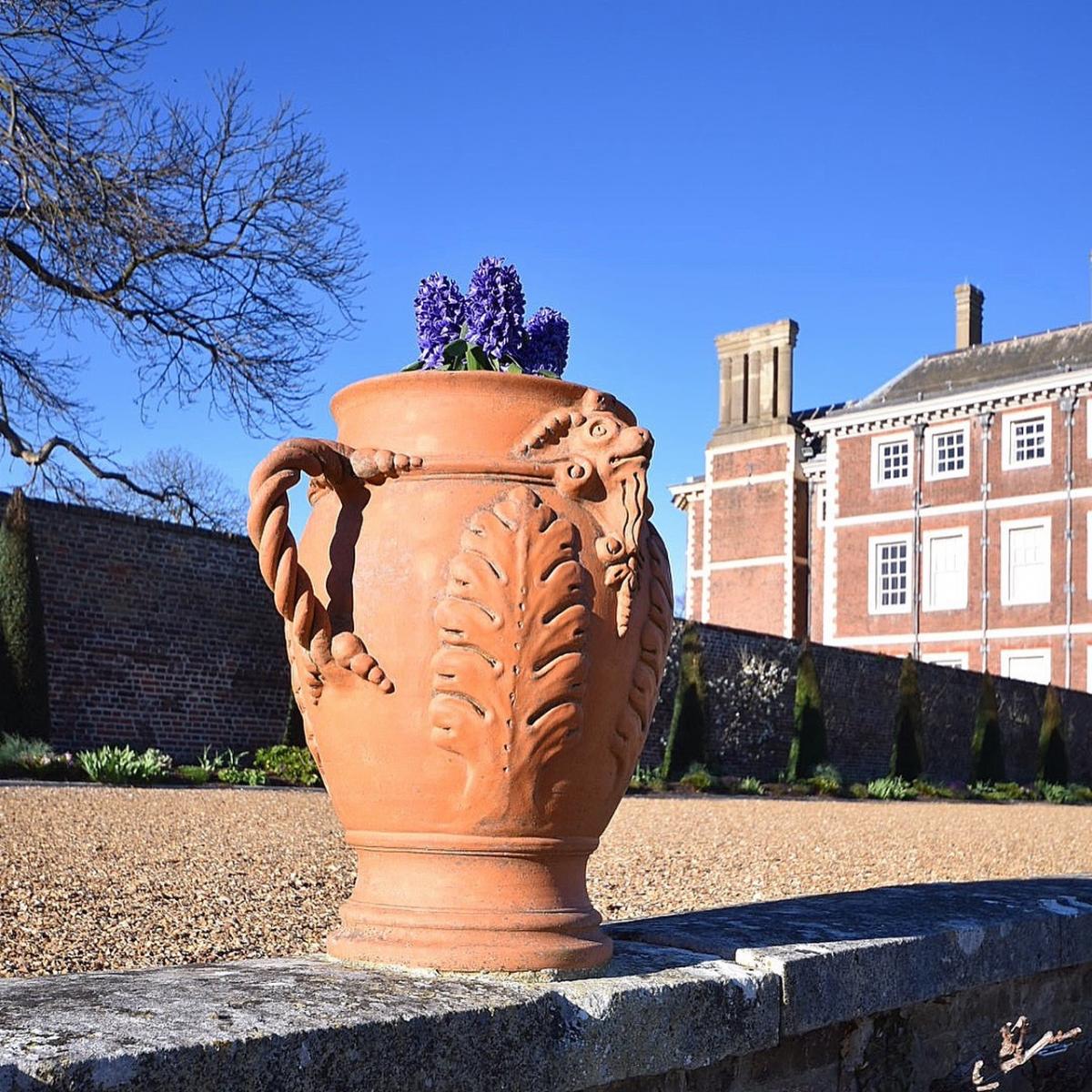 Kate Bertaut took this photo of a large potted plant at Ham House in the sunshine
