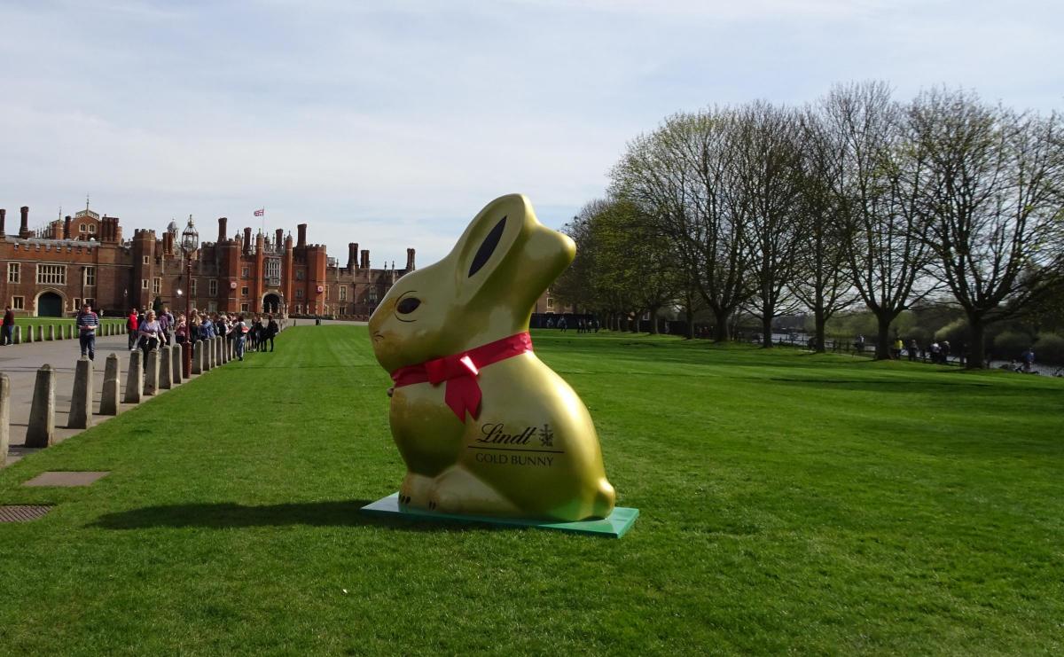 Jenny Tarbutt sent in this photo of the Lindt Gold Bunny on the lawns at Hampton Court Palace