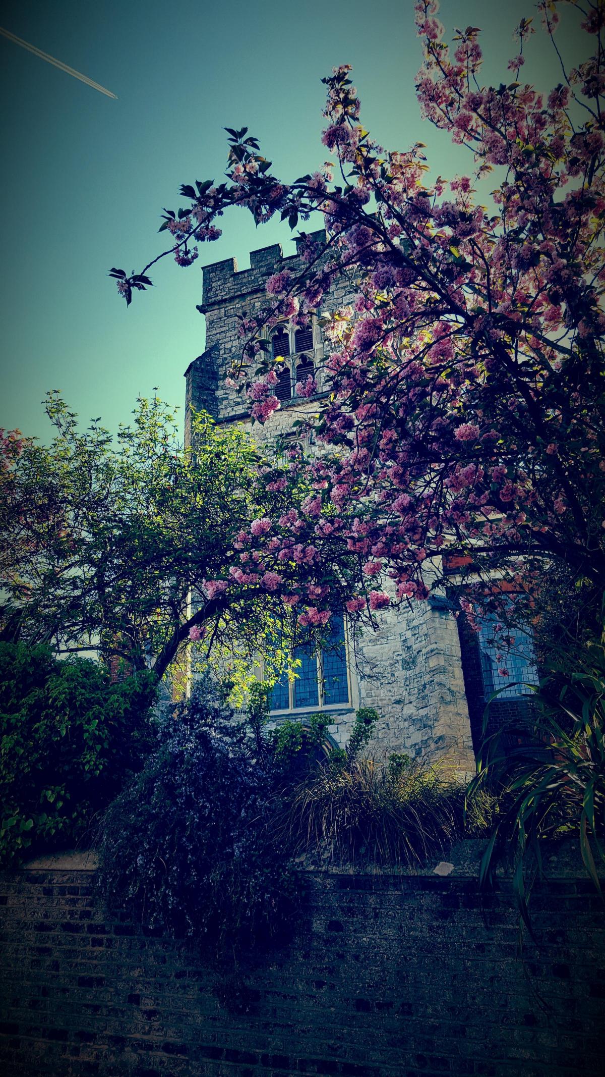 Bryan Staff sent in this photo of the spring mood around St Mary's Church in Twickenham