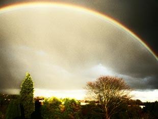 Beth Watts, Epsom 'Dark Rainbow'