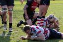Over: Adam Bellamy scores Rosslyn Park’s third try in the weekend win over Hartpury College            All pictures: David Whittam