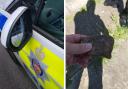 Images by Surrey Police shows the results of stone-throwing in Stanwell