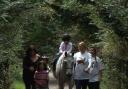 The Park Lane Stables team - Natalie, Hannah (with TinTin t shirts!) and Trigger. Pic courtesy of Alan Benns