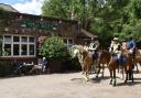 The charming Surrey pubs where you can arrive on horse