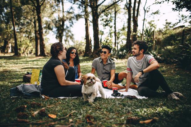 Surrey Comet: A group of people and a dog enjoy a picnic in the woods. Credit: Canva