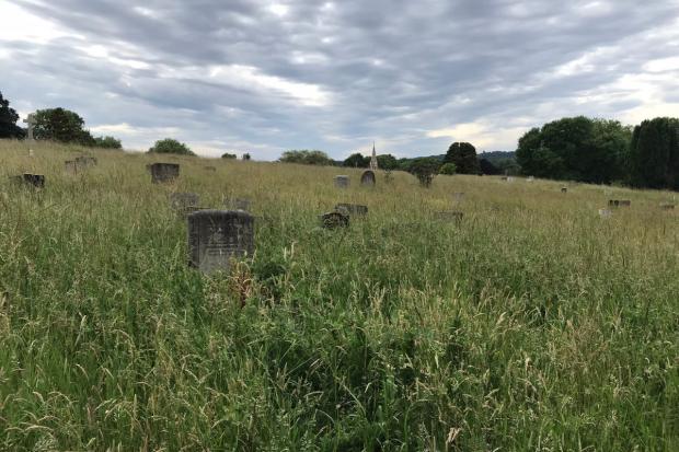 Plumstead Cemetery in Greenwich has become overgrown making some people unable to visit their loved ones (photo: Andrew Sims)