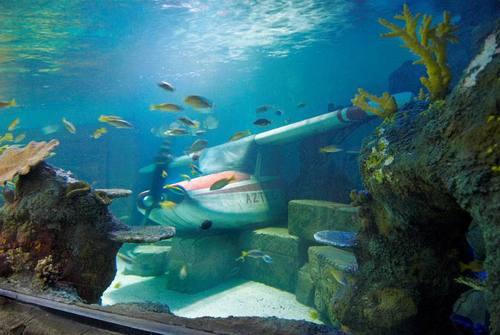 Azteca, a new section in the theme park’s Sea Life Centre, will be officially unveiled to the public on March 26.
