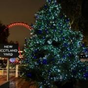 Christmas tree lights outside New Scotland Yard.