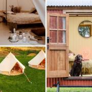 Kymani Godstone Valley and The Merry Harriers Shepherd's Hut are two of Host Unusual's listings in Surrey (photos: Host Unusual)