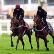 William Cox aboard Dancing Gemini (left) on the gallops at Epsom Downs Racecourse, Surrey, ahead of the Betfred Derby Festival starting May 31st