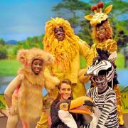 Tale of Tinga Tinga Lion brings wildlife to stage at Rose Theatre, Kingston