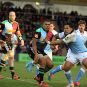 Shining light: Jason Leonard says the England youngsters, including Harlequins Kyle Sinckler, can shine down under